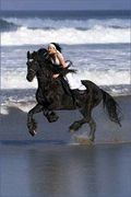 Bali Horse Riding on Beach