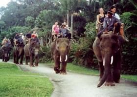 Bali Elephant Riding